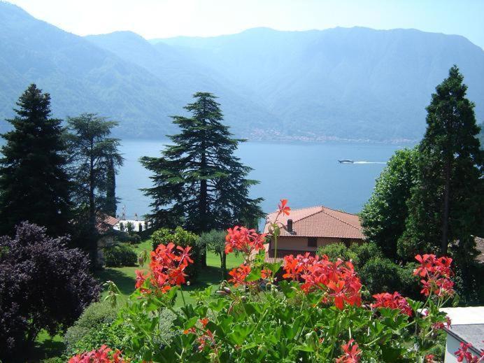 Hotel Lario Mezzegra Exteriör bild